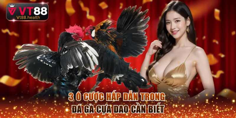 3 ô cược hấp dẫn trong đá gà cựa dao cần biết