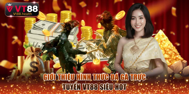 Giới thiệu hình thức đá gà trực tuyến VT88 siêu hot