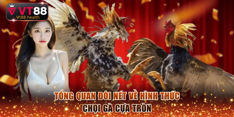 Tổng quan đôi nét về hình thức chọi gà cựa tròn
